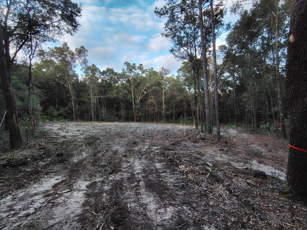 Area cleared for construction